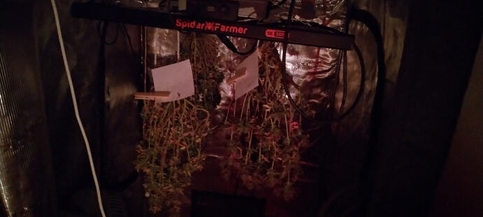Growreport Bild 9