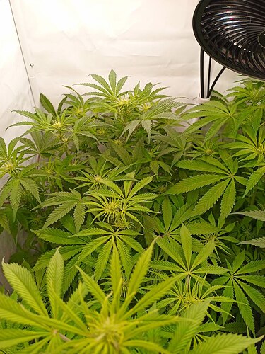 Growreport Bild 6