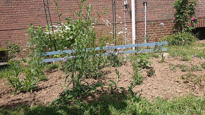 Growreport Bild 28