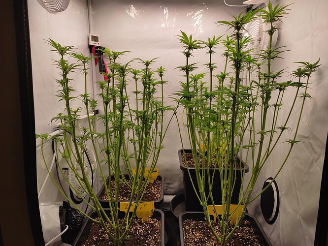 Growreport Bild 16