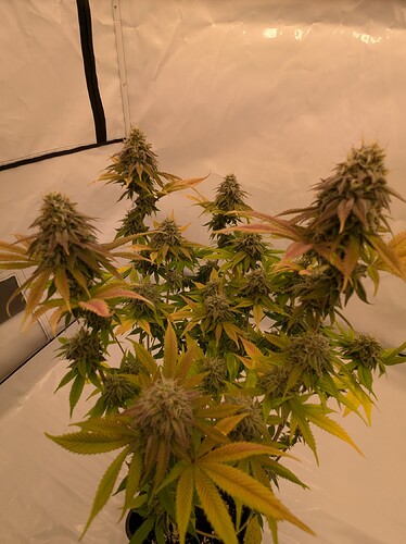 PXL_20240706_160624187