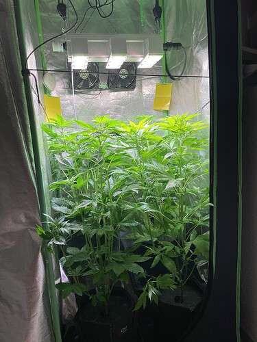Growreport Bild 10