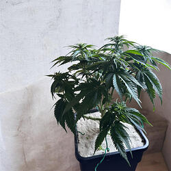 Photoroom_20260403_103612