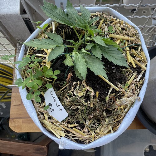 Growreport Bild 14