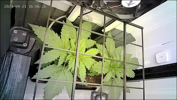 Growreport Bild 3