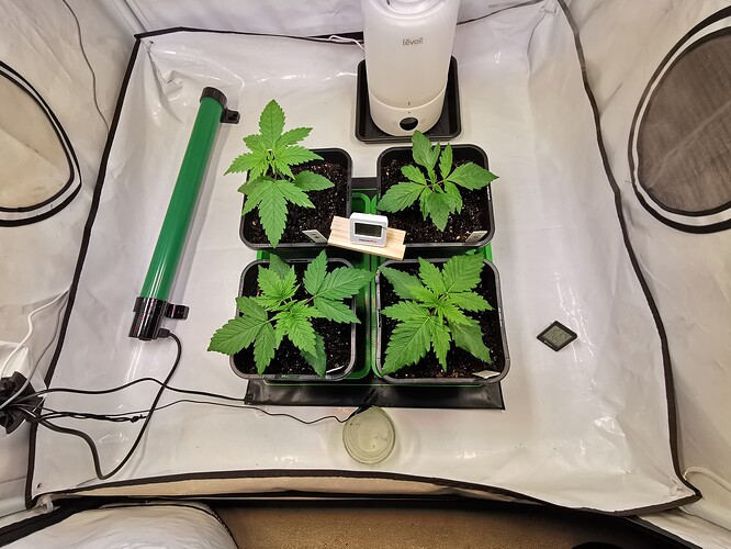 Growreport Bild 6
