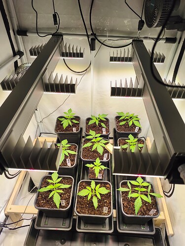 Growreport Bild 6