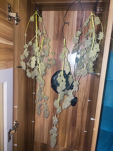 Growreport Bild 46