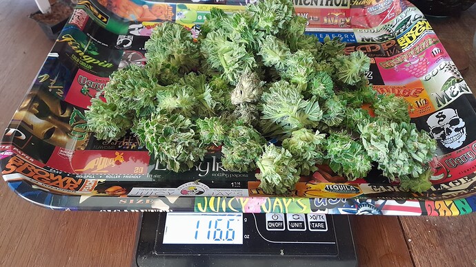 Growreport Bild 21