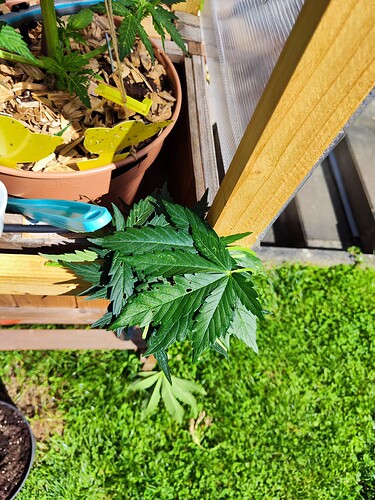 Growreport Bild 5