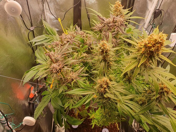 Growreport Bild 8