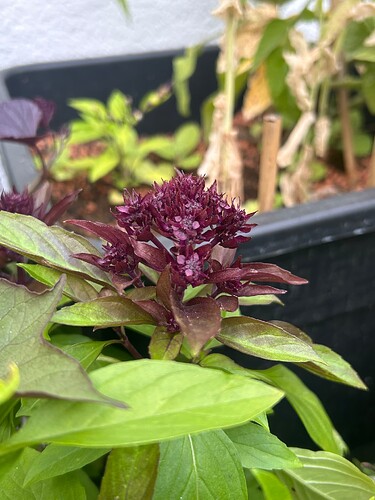 Growreport Bild 16