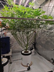 IMG20250621162305