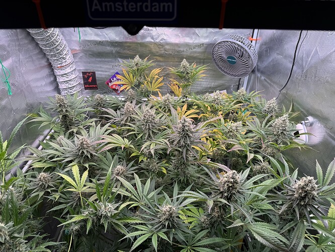 Growreport Bild 12