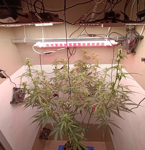 Growreport Bild 13