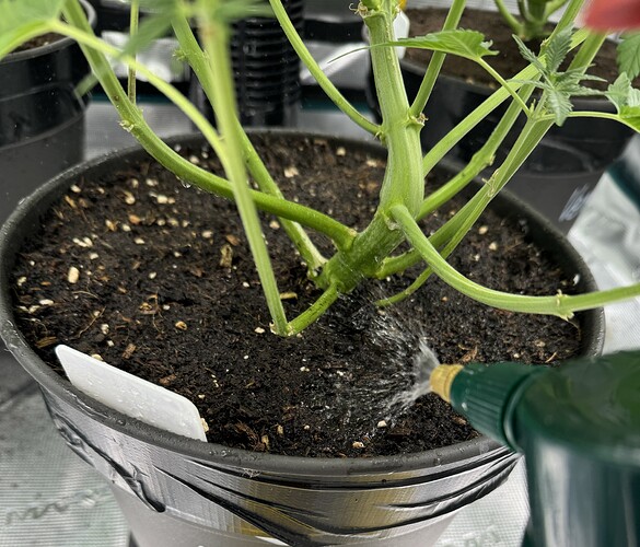 Growreport Bild 19