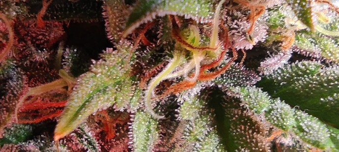 Growreport Bild 14