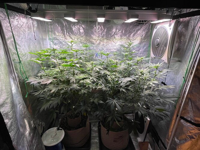Growreport Bild 1