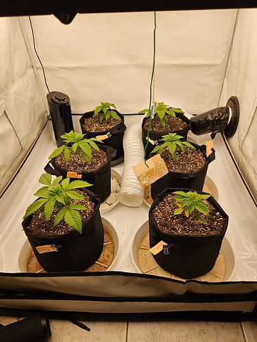 Growreport Bild 11