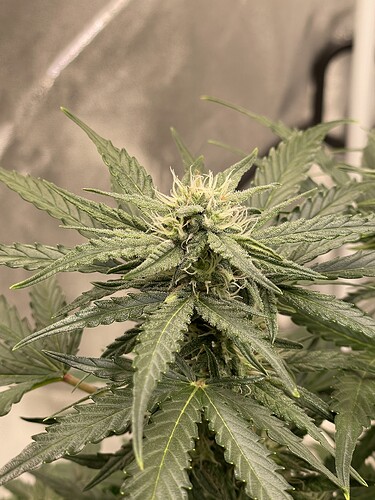 Growreport Bild 11