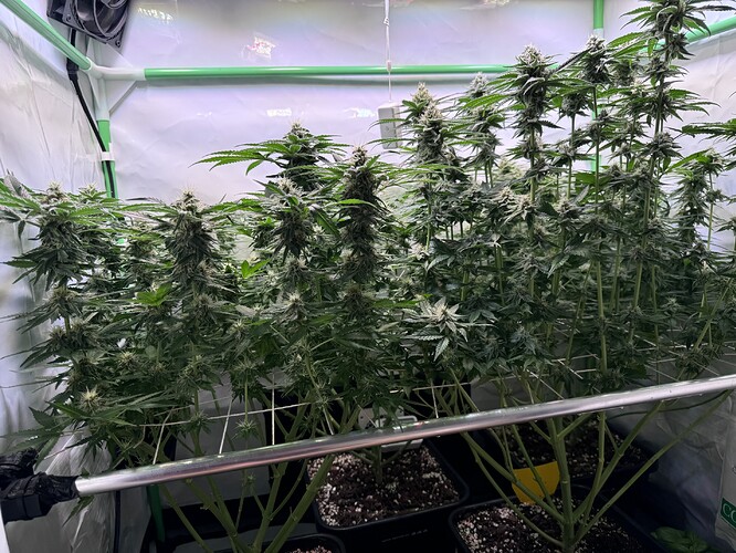 Growreport Bild 18