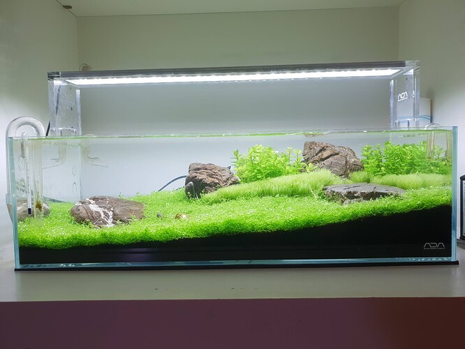 Growreport Bild 26