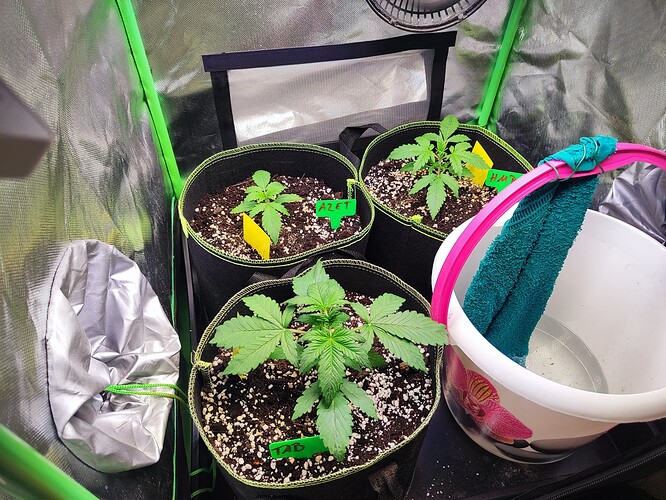 Growreport Bild 3