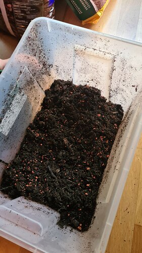 Mixtur aus Orchideen-, Universalerde und Seramis