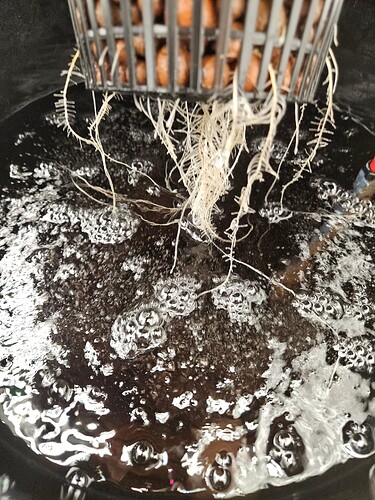 Growreport Bild 22
