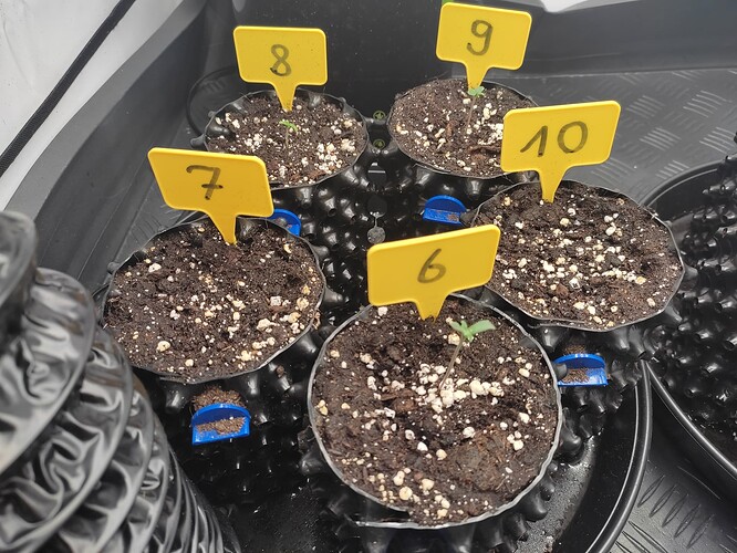 Growreport Bild 17