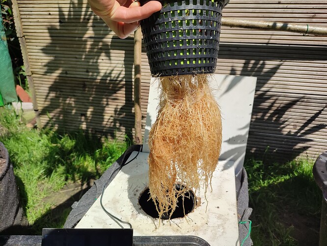 Growreport Bild 22