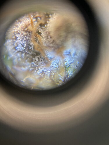 Growreport Bild 10