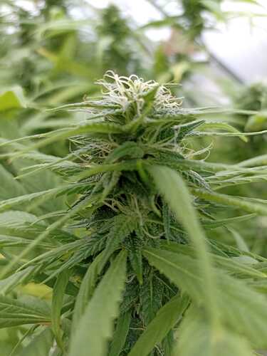 WhatsApp Bild 2024-10-17 um 17.25.06_6b33b3fc