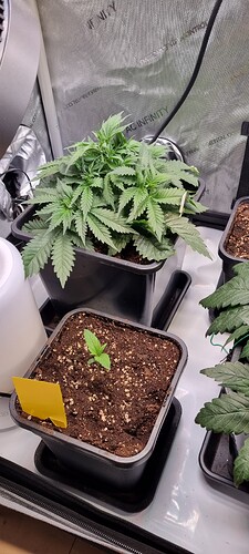 Growreport Bild 24