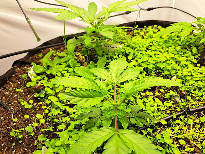 Growreport Bild 13