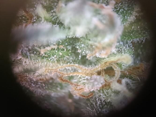 Growreport Bild 22