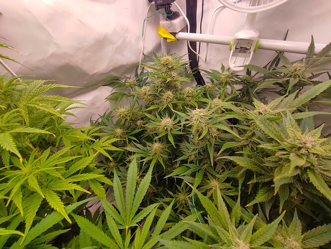 Growreport Bild 24