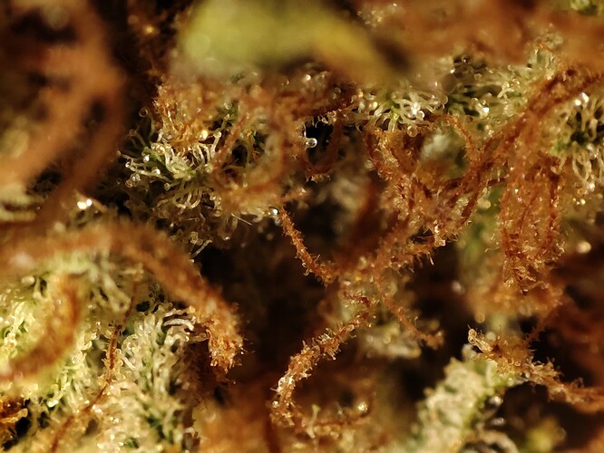 Growreport Bild 14