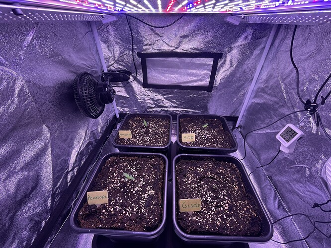 Growreport Bild 11