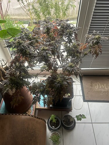 Growreport Bild 11