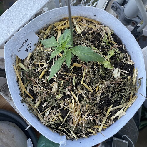 Growreport Bild 22