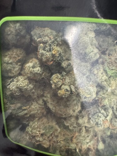Growreport Bild 8