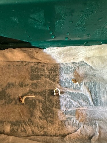 Growreport Bild 18