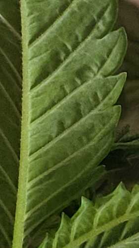 Growreport Bild 20