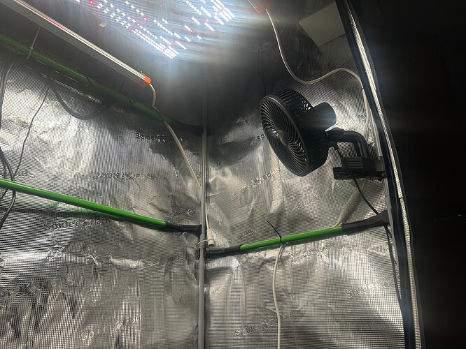 Growreport Bild 46