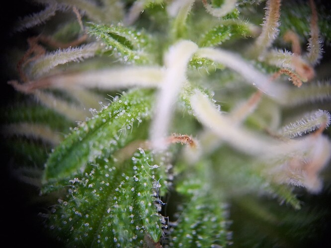 Growreport Bild 11