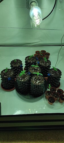 photo_5445148517438969748_y