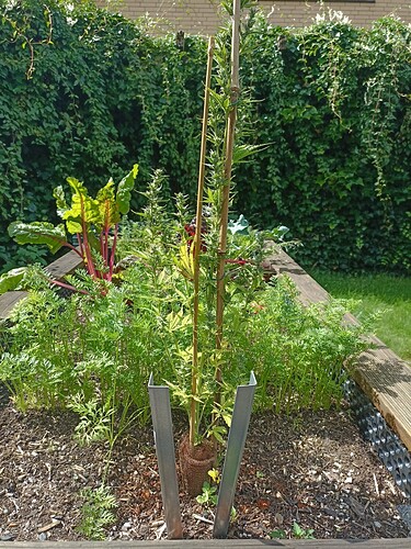 Growreport Bild 5