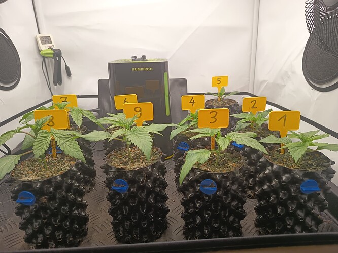 Growreport Bild 2