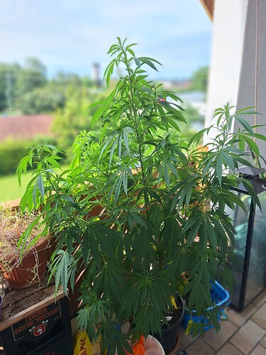 Growreport Bild 10